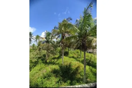 Lote/Terreno à venda, 40113m² no Catu, Alagoinhas