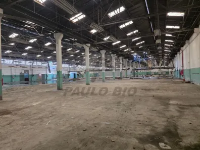 Galpão/Depósito/Armazém para alugar, 5500m² no Parque Jaçatuba, Santo André