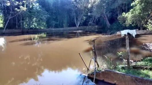 Fazenda/Sítio com 4 Quartos à venda, 100m² no Cunha, Cunha