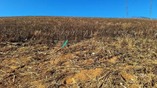 Fazenda/Sítio com 1 Quarto à venda, 726000m² no Centro, Espírito Santo do Dourado
