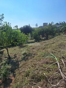 Lote/Terreno à venda, 1037m² no Chácara Cruzeiro do Sul, Sumaré