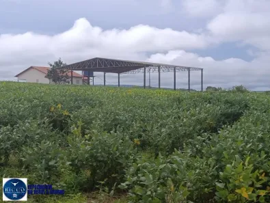 Fazenda/Sítio com 3 Quartos à venda, 103m² no Setor Central, Montes Claros de Goiás