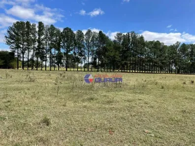 Fazenda/Sítio com 3 Quartos para alugar, 21000m² no Área Rural de São José do Rio Preto, São José do Rio Preto