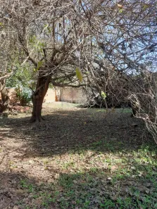 Lote/Terreno à venda, 1000m² no Jardim Conceição (Sousas), Campinas
