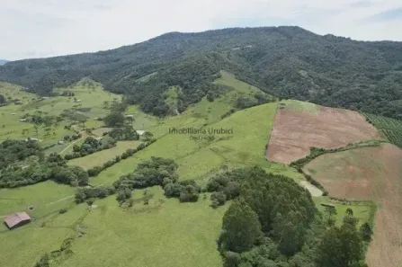Fazenda/Sítio à venda no , Bom Retiro
