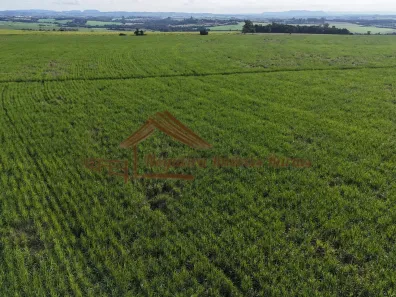 Fazenda/Sítio à venda, 592900m² no Área Rural de Tatuí, Tatuí