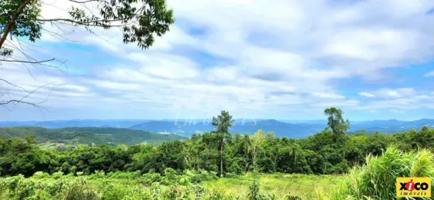 Fazenda/Sítio com 1 Quarto à venda, 5000m² no Linha Nova, Linha Nova