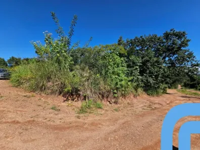 Fazenda/Sítio com 1 Quarto à venda, 6087m² no Condomínio Privê das Oliveiras, Goiânia