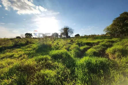 Fazenda/Sítio com 2 Quartos à venda, 190m² no Área Rural de Artur Nogueira, Artur Nogueira