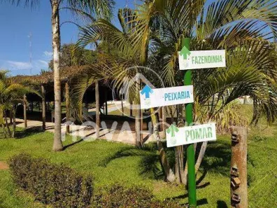 Fazenda/Sítio com 1 Quarto à venda, 5000m² no Área Rural de Campo Grande, Campo Grande