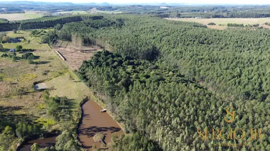 Fazenda/Sítio à venda, 123000000m² no , Triunfo