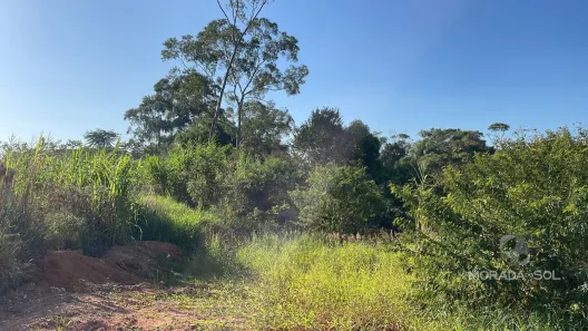 Lote/Terreno à venda, 419m² no , Canelinha