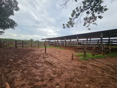 Fazenda/Sítio com 7 Quartos à venda, 2952400m² no Centro (São Pedro), Inocência