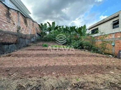 Lote/Terreno à venda, 360m² no Santa Amélia, Belo Horizonte