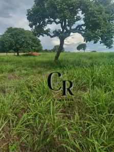 Fazenda/Sítio à venda, 23m² no , Bela Vista de Goiás