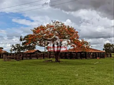 Fazenda/Sítio à venda, 20000m² no , São Miguel do Araguaia