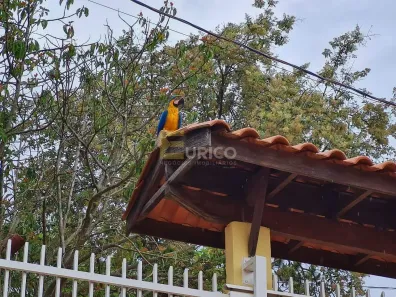 Casa com 3 Quartos à venda, 340m² no Sousas, Campinas