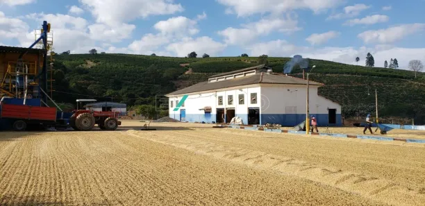 Fazenda/Sítio com 3 Quartos à venda, 5000m² no Centro, Carmo de Minas