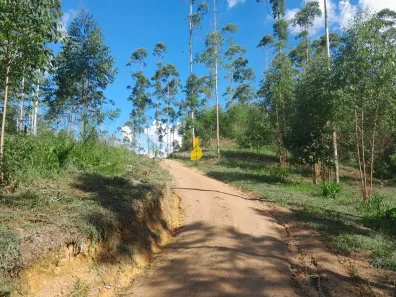 Lote/Terreno à venda, 20000m² no Barra São João, Benedito Novo