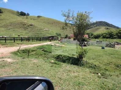 Fazenda/Sítio à venda, 50m² no Cervo, Borda da Mata