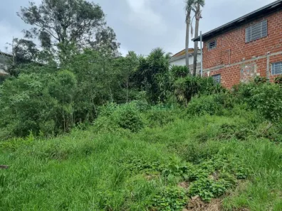 Lote/Terreno à venda, 469m² no Cruzeiro, Caxias do Sul
