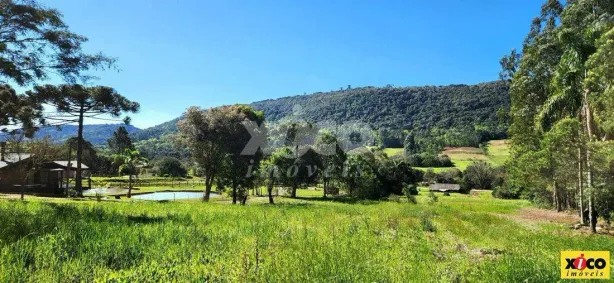 Fazenda/Sítio com 1 Quarto à venda, 5000m² no Dos Boêmios, Nova Petrópolis