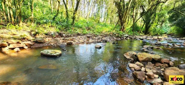 Fazenda/Sítio com 1 Quarto à venda, 5000m² no Nova Petrópolis, Nova Petrópolis