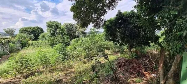 Lote/Terreno à venda, 1000m² no Pinheirinho, Vinhedo