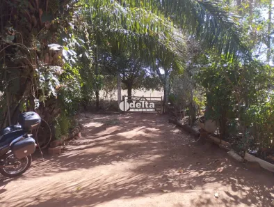 Fazenda/Sítio com 2 Quartos à venda, 145m² no Chácaras Rancho Alegre, Uberlândia