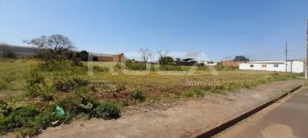 Lote/Terreno para alugar, 5238m² no Ipiranga, Ribeirão Preto