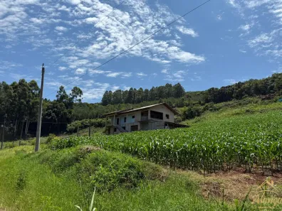 Fazenda/Sítio com 4 Quartos à venda, 250m² no Pinhal Alto, Nova Petrópolis