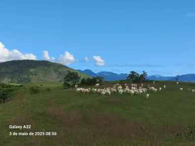 Fazenda/Sítio à venda, 536800m² no , Anchieta