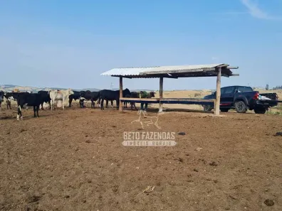 Fazenda/Sítio à venda, 4170000m² no , Jacutinga