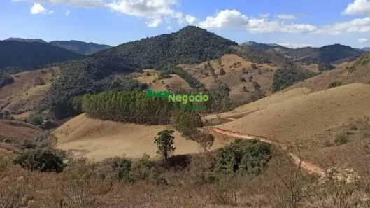 Fazenda/Sítio à venda, 440000m² no Centro, Marmelópolis