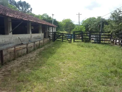 Fazenda/Sítio com 4 Quartos à venda, 500m² no Centro, Taubaté