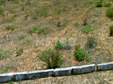 Lote/Terreno à venda, 200m² no Loteamento Recife, Petrolina