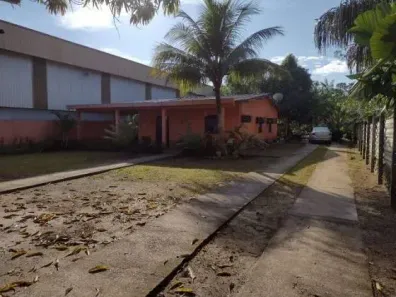 Fazenda/Sítio à venda, 2000m² no Tarumã, Manaus