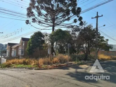 Lote/Terreno à venda, 540m² no Estrela, Ponta Grossa