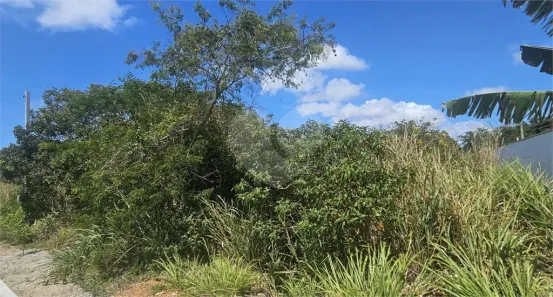 Lote/Terreno à venda, 450m² no Caravelas, Armação dos Búzios