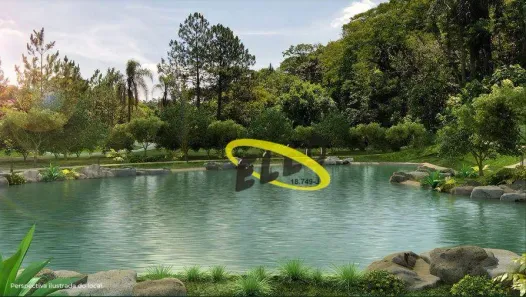 Lote/Terreno à venda, 500m² no Pitas, Cotia