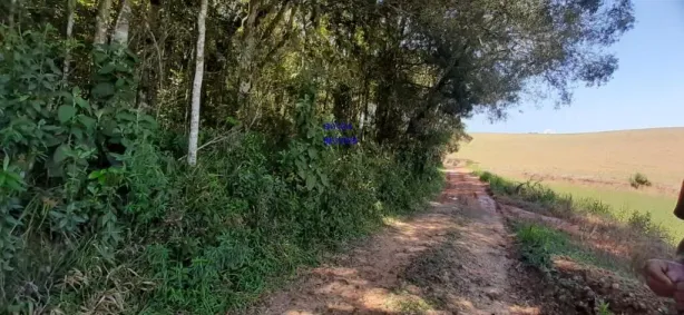 Fazenda/Sítio com 1 Quarto à venda, 20954m² no , Lapa