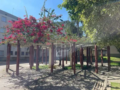 Apartamento com 2 Quartos à venda, 45m² no Jardim da Glória, Cotia