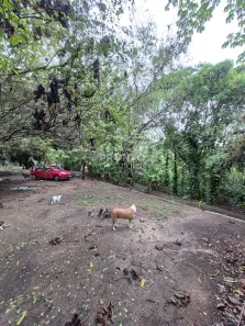 Lote/Terreno à venda, 11m² no Guabiraba, Recife
