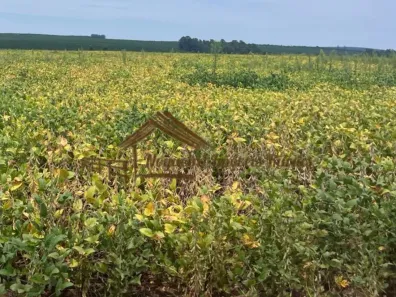 Fazenda/Sítio à venda, 1m² no Área Rural de Avaré, Avaré