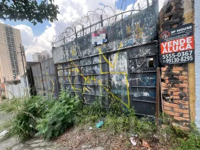 Lote/Terreno para alugar, 485m² no Chácara Inglesa, São Paulo