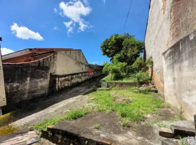 Lote/Terreno à venda, 390m² no Vila Formosa, São Paulo