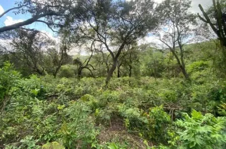 Lote/Terreno à venda, 5976m² no Centro (Canguera), São Roque