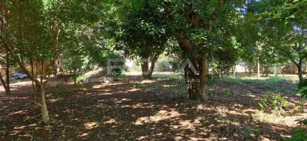 Lote/Terreno à venda, 4178m² no Vila Prado, São Carlos
