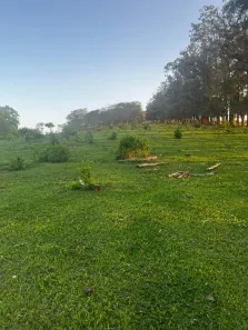 Lote/Terreno à venda, 1000m² no Tatuapé, São Paulo