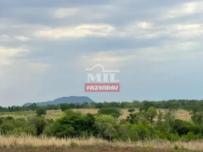 Fazenda/Sítio à venda, 500m² no , Colinas do Sul